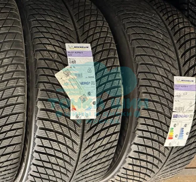 Шина Michelin Pilot Alpin 5 SUV 275/50 R21 113V XL MO1 — фото 1