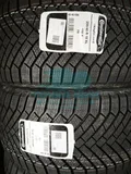 Шина Continental VikingContact 8 255/40 R19 100T XL FP — фото 3
