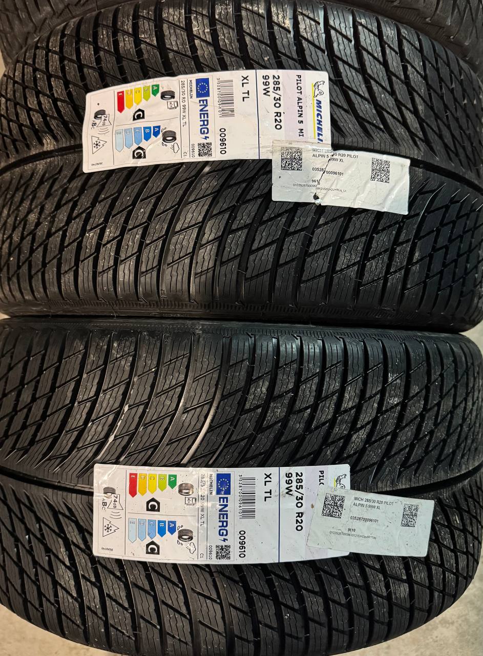 Задние шины Michelin Pilot Alpin 5 285/30 R20 99W XL
